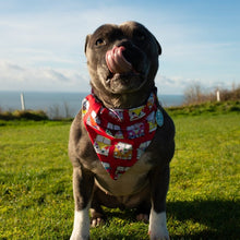 Load image into Gallery viewer, Campervan Over The Collar Bandana
